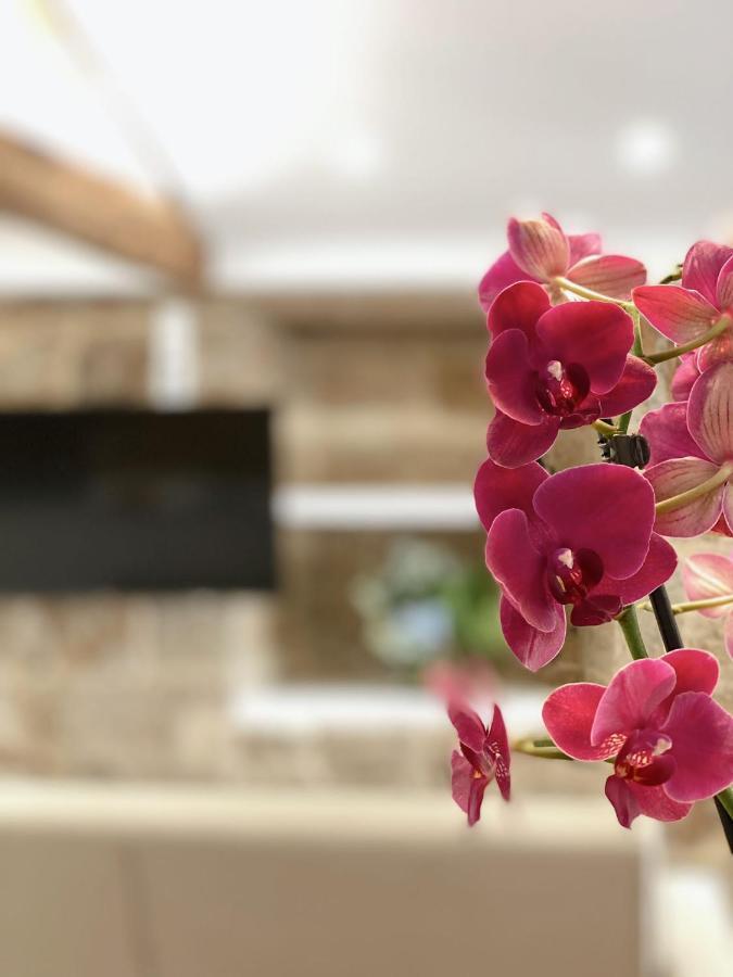 Celanova House Luaran gambar